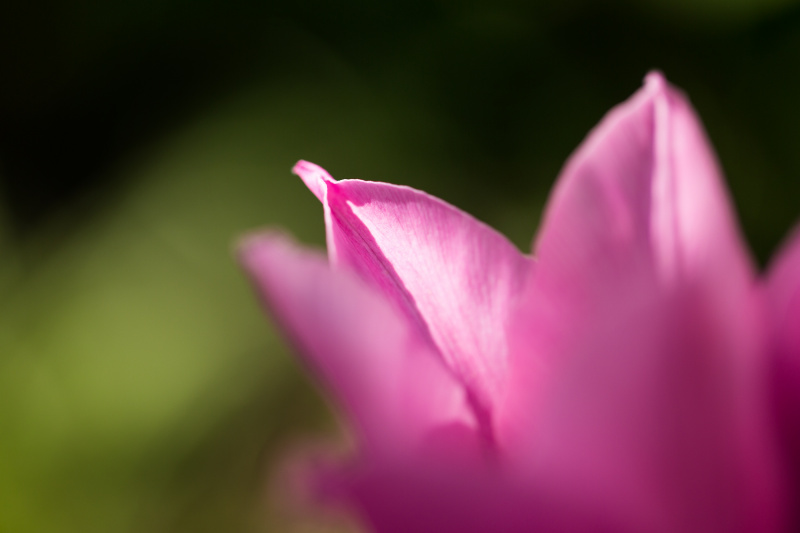 Farben des Sommers--2019